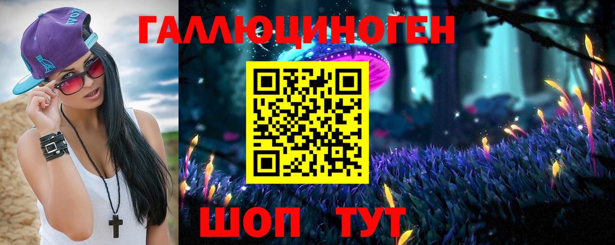 Междуреченск  Псилоцибиновые грибы Psilocybe  Вход с VPN 
