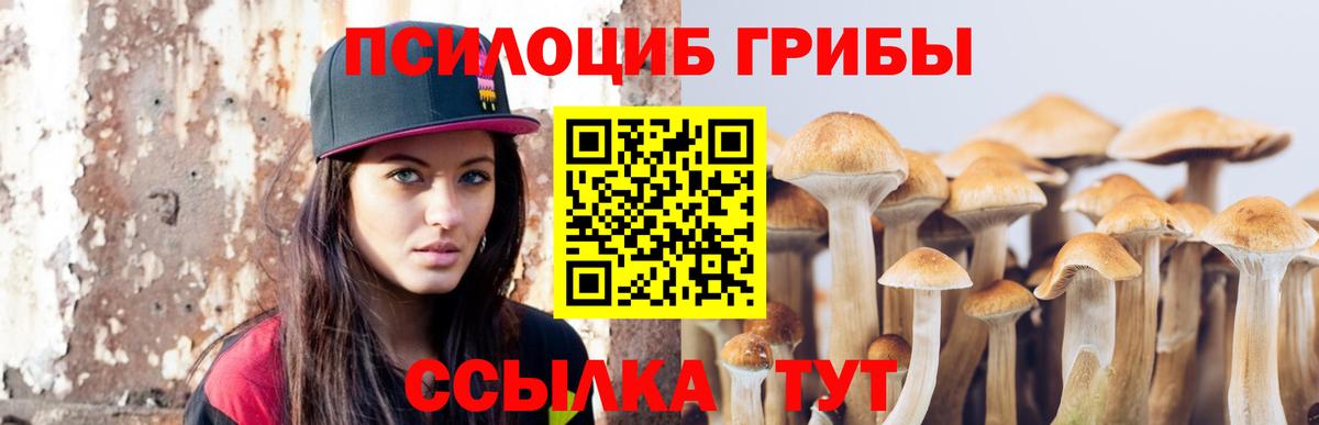 Галлюциногенные грибы Cubensis Междуреченск